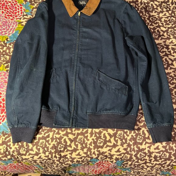 APC Blue Bomber with Light Brown Collar - Picture 2 of 3